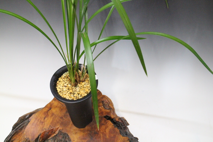 �������������