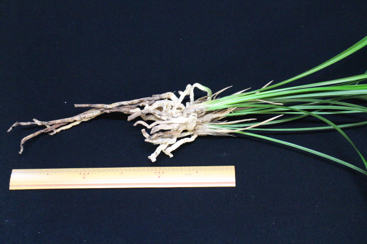 �������������