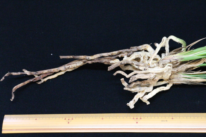 �������������