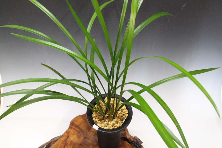 �������������