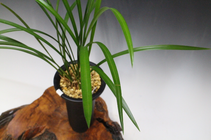 �������������